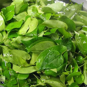 ใบไม้เขียวแช่แข็งจากแม่น้ำ สำหรับทำซุปสไตล์เอเชียตะวันออกเฉียงใต้แบบดั้งเดิม - Product Image 1