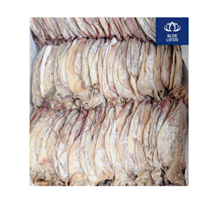 Calamar Seco Ecológico de Primera Calidad, Envasado al Vacío, Cumple con las Normas de la UE, Producto Más Vendido, Imprescindible Probar, Mariscos Puros Procesados, Venta al Por Mayor - Product Image 3