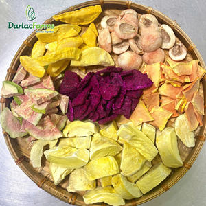 ผลไม้ผสมผลไม้เวียดนาม100% ได้รับการรับรองมาตรฐาน ISO 22000กลิ่นหอมหวานกรอบหมดอายุ24เดือน - Product Image 1