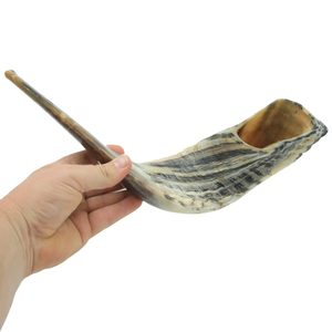 Shofar de Cuerno de Carnero Natural de Alta Calidad, Kosher, para Tocar en Rosh Hashanah, Pulido - Product Image 2