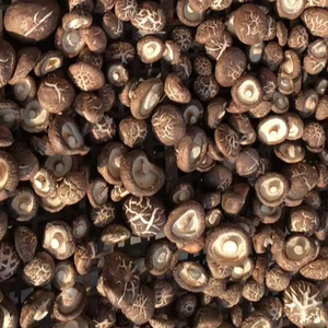 Hongos Shiitake Secos de Alta Calidad, Naturales de Vietnam, Hongos Enteros, Exportación a Granel, Suministro de Fábrica - Product Image 1