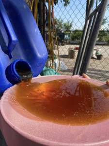 Wholesale Pure Honeycomb & Honey Bottles | Bulk Natural Honey Supply | Export Quality from Vietnam - Ms.Tarina - Product Image 6