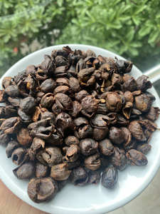 Café Arábica Vietnamita Catimor Cascara, Cereza de Café Naturalmente Dulce, Totalmente Madura, 18 Meses de Duración - Product Image 5