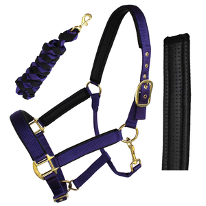 Cuerda de Algodón Trenzado para Caballos con Mosquetón Metálico Resistente y Agarre Cómodo para Entrenamiento, Paseos en Establos y Montar al Aire Libre - Product Image 6