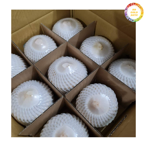 มะพร้าวน้ำหอมสด เกรดส่งออก มะพร้าวอ่อนทั้งลูก สำหรับดื่ม จำหน่ายส่งจากเวียดนาม - Product Image 4