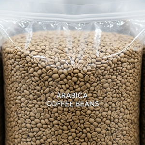 Organic Mountain Harvest Arabica Coffee <b>Bean</b> Prepared For Roasting With Clean Processing And Premium Bulk Export Packaging - Product Image 6