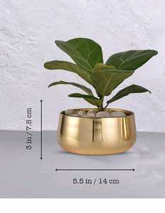 Maceta Redonda de Metal para Decoración del Hogar, Maceta Decorativa de Metal para Mesa de Noche - Product Image 5