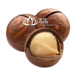 Nueces de Macadamia Tostadas Sostenibles de Alta Calidad, Snack Crujiente Ecológico para la Dieta Diaria - Product Image 1