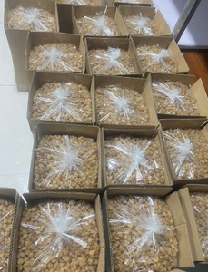 Dried Longan with Lotus Seed <b>Sweet</b> Golden Brown Dried Longan with Lotus Seed Vietnam Healthy Dessert Vacuum Packed Bulk Longan - Product Image 6