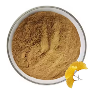 Poudre de feuilles de Ginkgo Biloba de qualité supérieure pour la santé du cerveau et le soutien de la circulation, 100 % pure, provenant d'Inde - Product Image 4