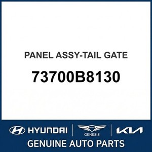 Nouvelles hayères de chargement Santa Fe 73700B8130 - Product Image 1