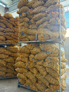 Jengibre Fresco Orgánico al por Mayor de Excelente Calidad y al Mejor Precio, Jengibre Fresco en Grandes Cantidades - Product Image 6