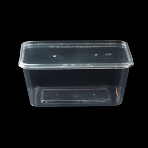 Barquette alimentaire rectangulaire jetable en PP, couleur personnalisée, pour export, OEM, ODM, fournisseur en gros - Product Image 4