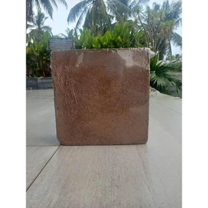 Bloque de Turba de Coco Premium de 5 kg - Expande con Agua y es Ligero para Jardinería - Product Image 3