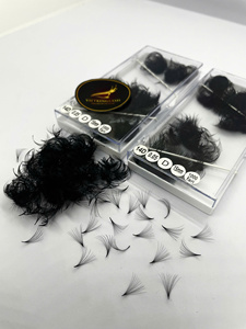 Suministros para Salón de Belleza, Extensiones de Pestañas Preformadas 14D, PBT Coreano, Negro Mate, Pestañas de Volumen Suave, Naturales, Largas, Ecológicas, Caja Personalizada - Product Image 2