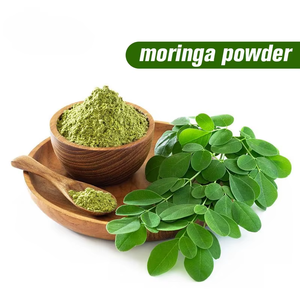 OEM/ODM Poudre de feuilles de Moringa Oleifera 100% naturelle pure, riche en antioxydants et en vitamines immunitaires, superaliments pour le thé ou les boissons - Product Image 3