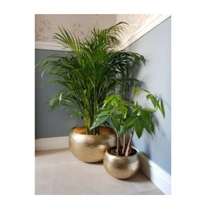 Maceta Metálica Premium, Decorativa, Hecha a Mano, para Jardín, Contenedor de Lujo para Interiores y Exteriores, Exhibición Botánica - Product Image 1