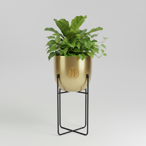 Modern Gold Plated Metal Planter Stand With Black <b>Frame</b> Elliptical Shape Indoor <b>Plant</b> Pot Minimalist Design For Home Decor - Product Image 1