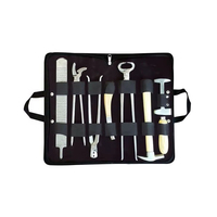 Kit complet de fermeur en acier inoxydable pour le soin et le sablage des sabots – Kit professionnel pour chevaux