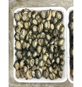 Viet Delta Boiled Apple Snail Meat Best Seller Naturally Sweet Flavor Lemongrass Ginger Vacuum Pack Frozen 14oz 100% Snail Meat - Product Image 2