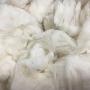 100% Cotton Waste Fiber Comber Noil/Bleached Comber Noil for Spinning Factory with Negotiabble Price Guarantee Factory -Florence - Product Image 5