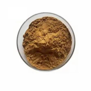 Polvo de Fruta de Cassia Fistula de Primera Calidad, Grado Alimenticio, Secado Natural, Finamente Molido, Ingrediente Herbal Botánico para Medicina Tradicional - Product Image 4