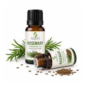Huile de romarin polyvalente pour les applications professionnelles en cosmétiques, soins capillaires, soins personnels, parfumerie et formulation de produits de beauté - Product Image 3