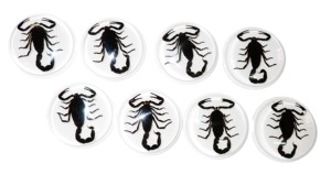 Cabujón de Plástico con Espécimen Real de Escorpión Negro, Redondo, 38.5x38.5 mm, Base Plana Blanca para Manualidades y Joyería - Product Image 6