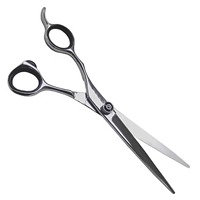 Ciseaux de coiffure professionnels de qualité supérieure pour salon de coiffure