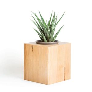 Factory Direct <b>Mini</b> Plant Stand Bundle Modern Minimal Handmade Wood Square Premium Quality Good Work Wedding Ramadan Birthday - Product Image 1