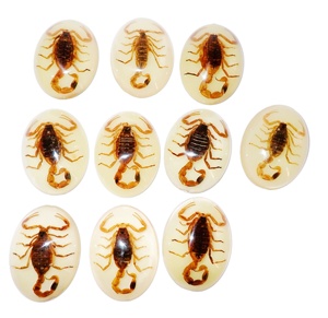 Golden Scorpion Real Specimen Plastic Cabochon Modern Oval 30x40 mm Glow Flat Bottom for Crafts and Jewelry Making - Product Image 2