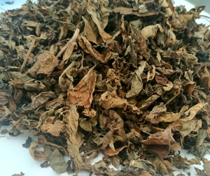 ใบหญ้าดำแห้งธรรมชาติจากซัพพลายเออร์ หญ้าดำเยลลี่ หญ้าดำเยลลี่เวียดนาม วัตถุดิบทำขนมเยลลี่สมุนไพร - Product Image 5