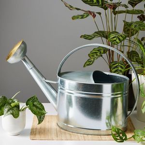 Regadera moderna de metal para jardinería doméstica, con pico largo, agarre ergonómico, flujo suave, resistente al óxido y construcción duradera. - Product Image 4