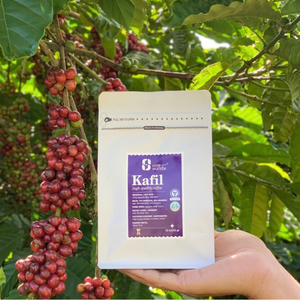 Mezcla de Café KAFIL 70% Robusta 30% Arábica, Tueste Medio, Granos Enteros, Sabor Dulce Premium, Venta al Por Mayor para Exportación - Product Image 4