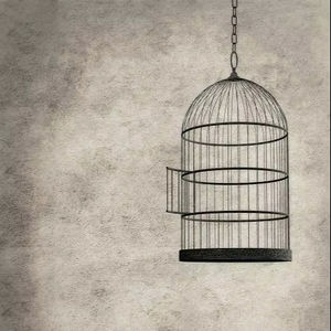 Cage à oiseaux en métal sur mesure disponible en différentes dimensions, adaptée à différents types d'oiseaux et à leurs besoins d'utilisation. - Product Image 1