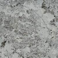 Comptoirs en granit blanc d'Alaska poli, grandes dalles modernes pour cuisine, salle de bain et extérieur - Fabricant et exportateur