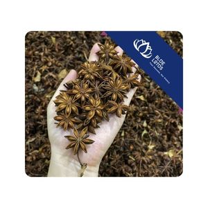 [VENTE CHAUDE] Épices d'anis étoilé entières pour la préparation authentique de bouillon de pho et l'amélioration du goût des soupes du Vietnam - Product Image 1