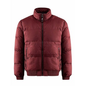 Vestes matelassées pour hommes, couleur marine, col montant, fermeture éclair, coupe-vent, manteau d'hiver décontracté, coupe régulière, rembourrage en polyester - Product Image 2