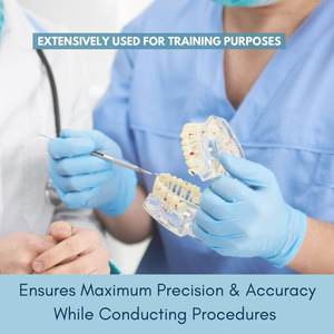 Kit de Limpieza Dental, Set de Instrumentos Quirúrgicos Dentales, 4 Piezas con Estuche, Removedor de Placa para Dientes, Profesional - Product Image 3