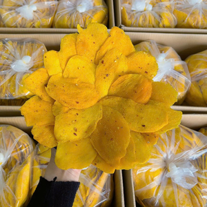 Mango Seco de Vietnam de Nueva Cosecha, Mango Seco Natural al Aire, Suministro a Granel del Fabricante - Product Image 1