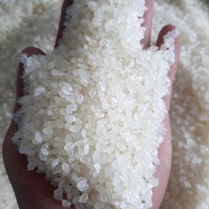 Venta caliente Japonica Arroz de grano corto Camolino Arroz con 3% Roto Directo al por mayor de Vietnam - Product Image 4