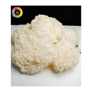Fonge blanche naturelle séchée, champignon Tremella, fonge des neiges cultivée au Vietnam, ingrédient alimentaire de qualité supérieure, vente en gros en vrac - Product Image 1