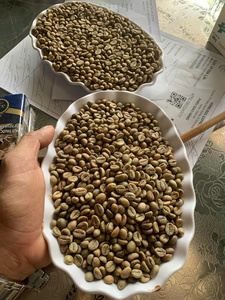 HANCOFFEE Cosecha 2026 Café Verde Robusta de Vietnam de Alta Calidad - GRADO 1 Natural/Lavado/Proceso Miel - Muestra Gratis - Product Image 3