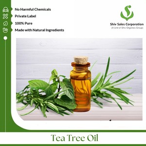 Huile Essentielle Pure d'Arbre à Thé Biologique de Haute Qualité, Certifiée GMP & ISO, Prix Direct Usine pour Approvisionnement en Gros avec Étiquette Privée OEM - Product Image 3