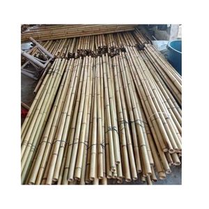 Piquets en bambou écologique de qualité supérieure, prix de gros abordable, poteaux droits robustes et durables, approvisionnement en vrac direct usine - Product Image 2