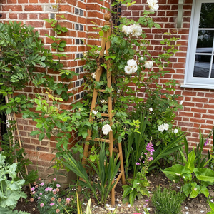 Treillis de jardin en bois naturel robuste pour plantes grimpantes, obélisque en forme de pyramide, décoration extérieure pour jardin, fabriqué au Vietnam - Product Image 3