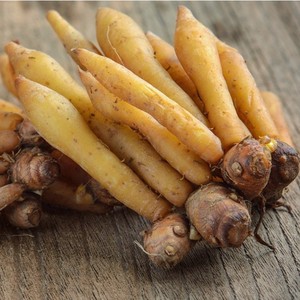 Tónico Natural Tailandés en Polvo con Hierbas y 5% de Pinostrobin, Ginseng Tailandés de Raíz Silvestre Cultivada, Marca KMP - Product Image 2