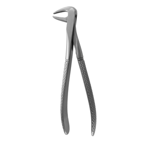 Proveedor Mayorista con MOQ Bajo y Servicio OEM, Fórceps Dentales de Alta Precisión para Extracción de Dientes de Animales, Venta al Por Mayor - Product Image 1
