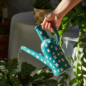 Regadera de metal de larga duración con construcción resistente y mango ergonómico para un jardinería cómodo y eficiente - Product Image 1