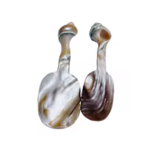 Premium Vietnam Mother of Pearl Seashell Spoon Decorative Dessert Tableware Hospitality Supply Product - Product Image 3